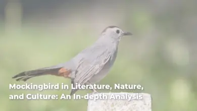 Mockingbird in Literature, Nature, and Culture: An In-depth Analysis